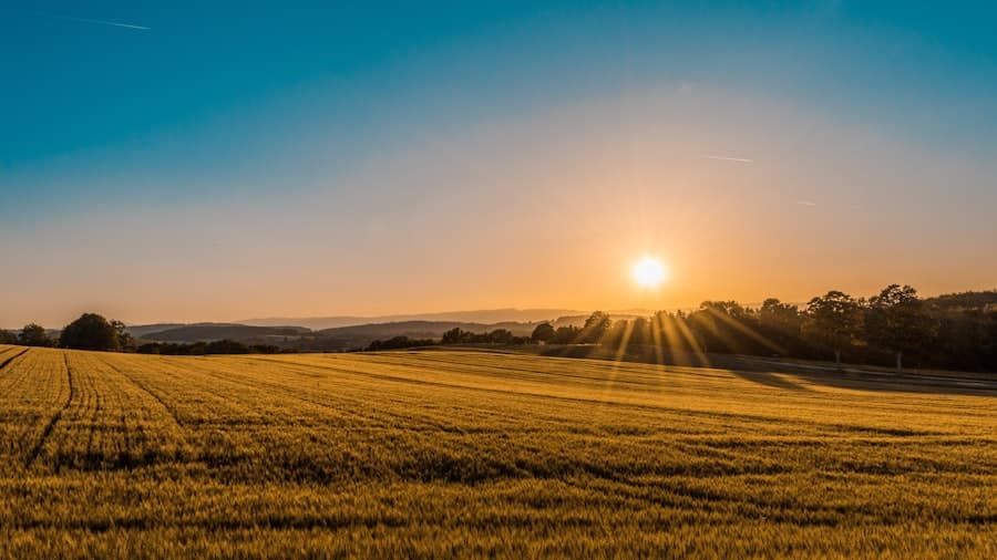 Agriculture & Food Systems