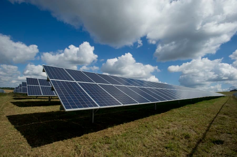Climate Finance & Carbon Markets